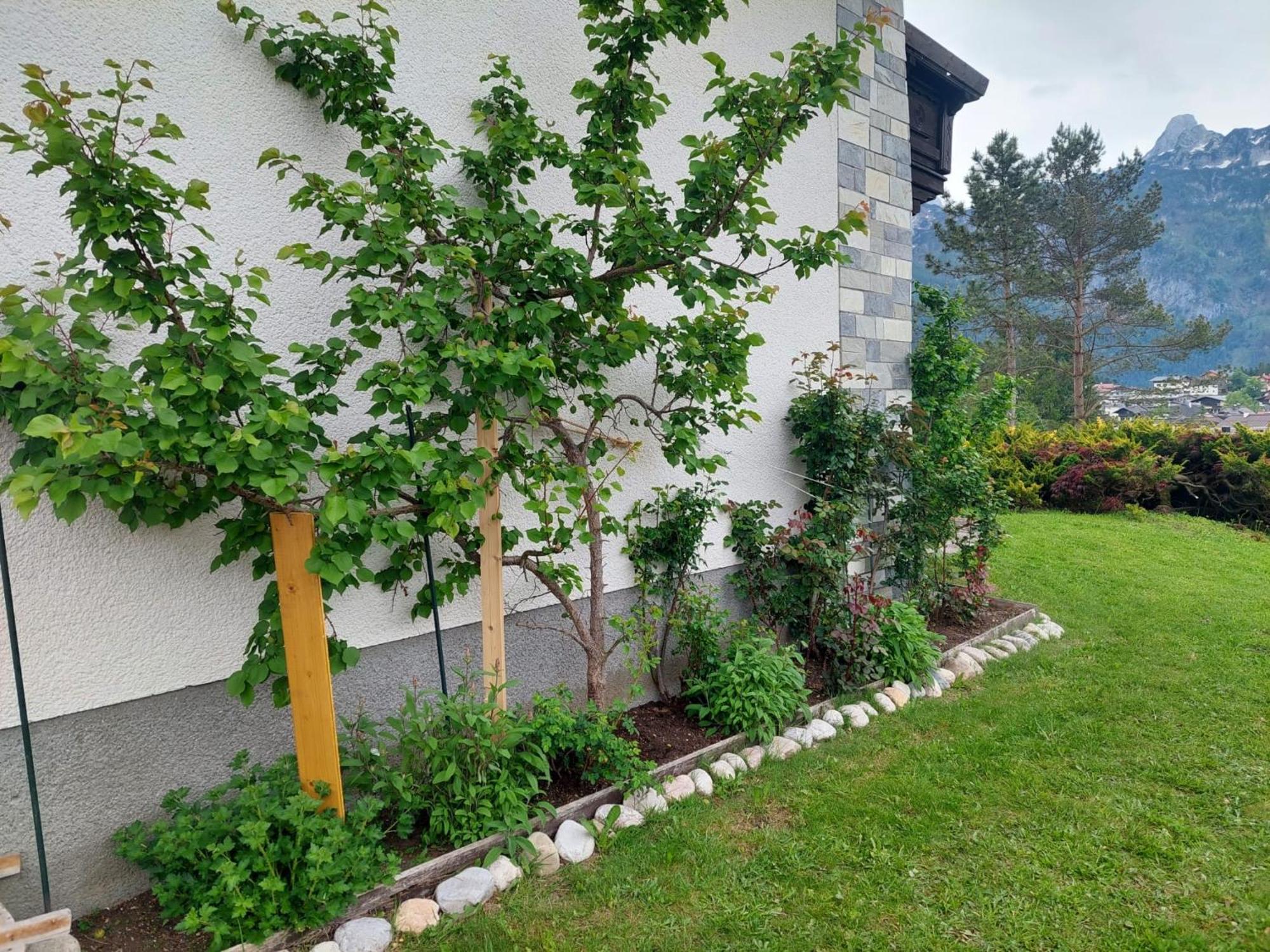 Privatzimmer Pendl Абтенау Экстерьер фото
